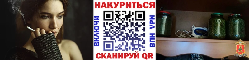 Марихуана план  продажа наркотиков  Кашира 